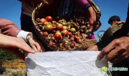 邵阳吃瓜新闻,揭秘当地热点事件背后的真相与争议