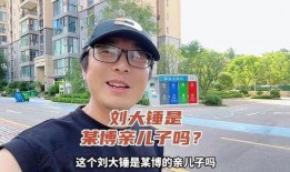 刘大锤吃瓜全集,揭秘娱乐圈幕后风云