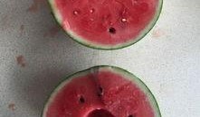 最近不敢吃的瓜,揭秘近期禁食瓜果背后的真相