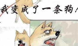 脱离吃瓜小说,揭秘吃瓜小说背后的故事