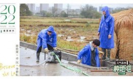 晴天小羊吃瓜,晴天小羊的甜蜜瓜果时光