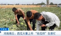 威职吃瓜事件,揭秘校园网络暴力的阴影面