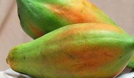 丑瓜没熟怎么吃,未熟丑瓜的创意食用攻略