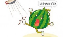 吃药完可以吃瓜