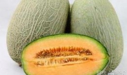 吃哈密瓜恶心