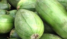 极品仙芋吃瓜视频,吃瓜视频中的美味诱惑