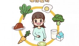 孙敬修东东吃瓜,一场趣味横生的夏日盛宴