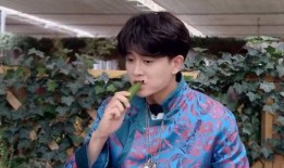 任嘉伦吃瓜娱乐,揭秘明星幕后趣事