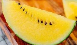 小黄吃瓜头像,揭秘网络潮流文化新现象