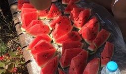 捧瓜做吃的,探寻夏日消暑新风尚