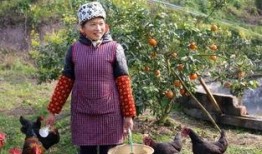 兰姐吃瓜版,揭秘娱乐圈幕后真相，带你领略明星们的真实生活