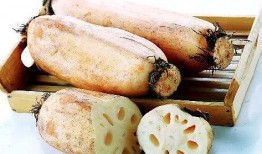 吃藕可以吃茭瓜吗,探寻同根同源的美食奥秘”