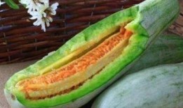 非常蜜瓜怎么吃,从鲜食到创意料理