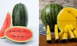 在唐朝堂上吃瓜,古风食趣一瞥