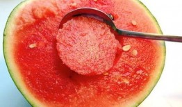 吃瓜的小勺子,网络红人的崛起与影响力