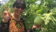 吃瓜采摘视频大全,吃瓜采摘视频大全精彩瞬间回顾