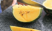 杭州318吃瓜,一场盛夏的瓜田盛宴