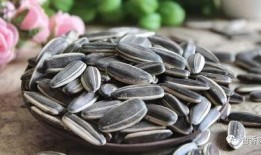 瓜芯解说吃瓜子,解锁吃瓜子的艺术与乐趣