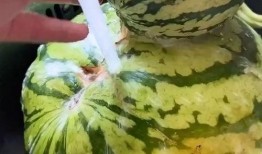 搞怪吃瓜特效视频,带你领略欢乐无限