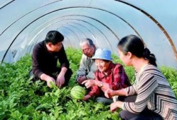 自由吃瓜流浪基地