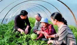 自由吃瓜流浪基地