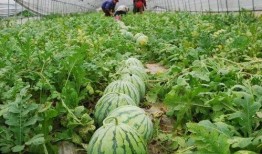 23年吃的瓜,年度热点事件回顾