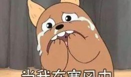 吃瓜视频白眼狼