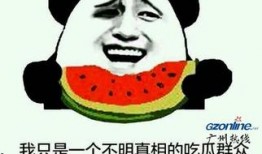 小梗妹吃瓜,揭秘娱乐圈那些不为人知的幕后故事