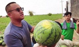 澄澈吃瓜,揭秘吃瓜群众的趣味世界