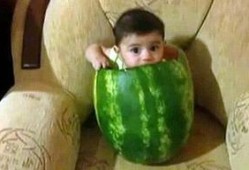 瓜哥带你吃瓜视频重庆,重庆特色小吃大揭秘