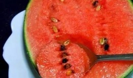 5l吃瓜网