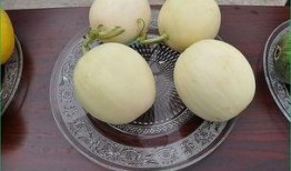 来月经可以吃田瓜吗